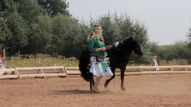 Солнечная лошадь смотреть онлайн