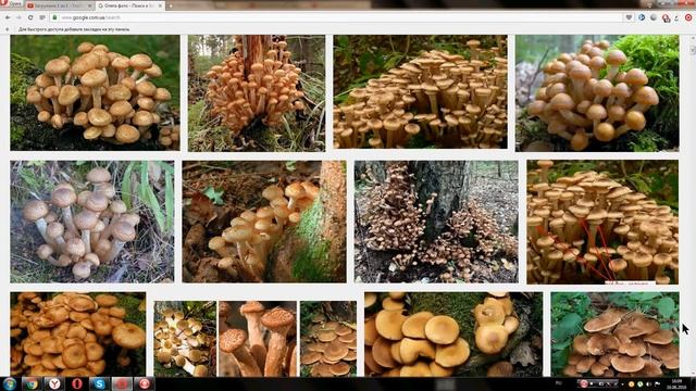 Опята смотреть онлайн