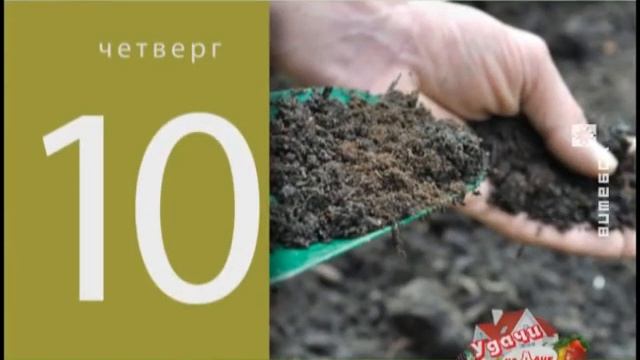 Удачи на даче (26.04.2018) смотреть онлайн