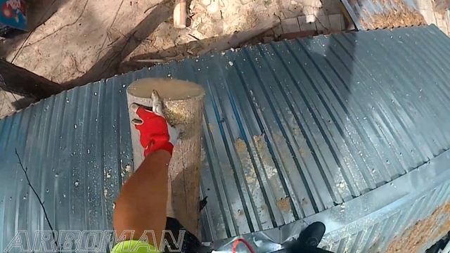 Убираем сосну упавшую на домик Taking away a pine tree that has fallen on a house смотреть онлайн