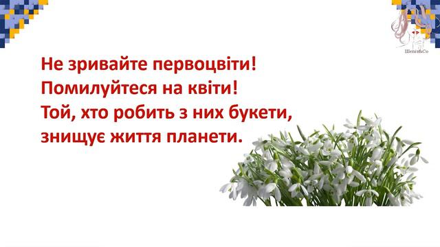 Збережи первоцвіт — хай красивим буде світ. Н. Козленко «Не зривайте первоцвіти». 3 клас смотреть онлайн