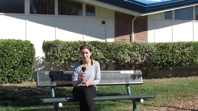 Младшая школа в США. Образование в США. Часть 2 / Elementary School in USA смотреть онлайн
