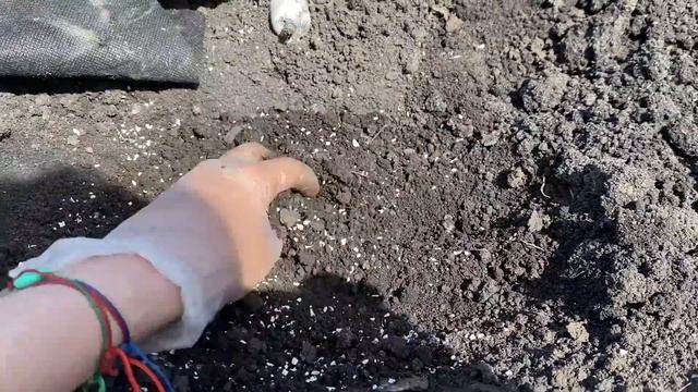 ГОТОВИМ ГРЯДКИ В ОТКРЫТОМ ГРУНТЕ. КАК ОБРАБОТАТЬ И ОБОГАТИТЬ ЗЕМЛЮ смотреть онлайн