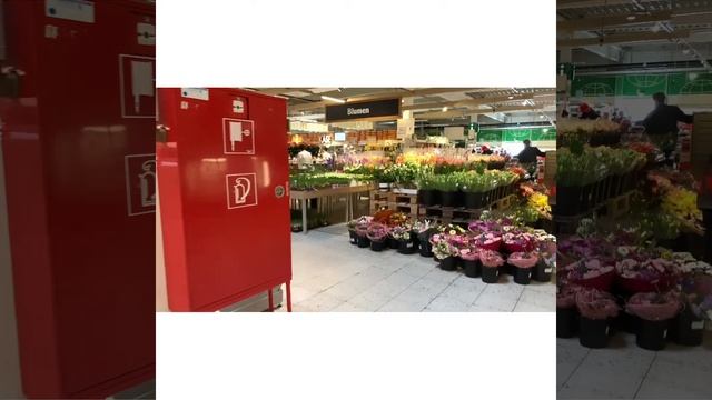 Закупка продуктов ???? больше чем на 150€ ??? смотреть онлайн