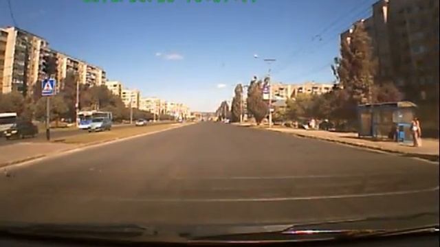 Голубь на пешеходном переходе смотреть онлайн