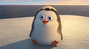 Пингвины из Мадагаскара-рождение рядового.