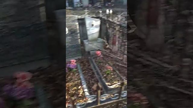 Найдена могила Сергея Бодрова смотреть онлайн