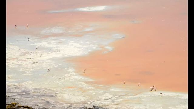 Atacama Desert, Chile