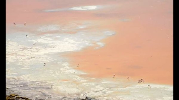 Atacama Desert, Chile