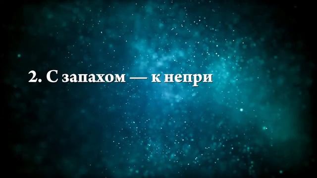 К чему снится пукнуть - Онлайн Сонник Эксперт смотреть онлайн