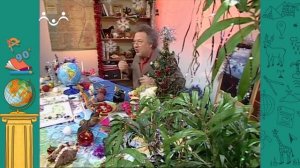 АЗН. География. О традициях празднования Нового года в разных городах мира