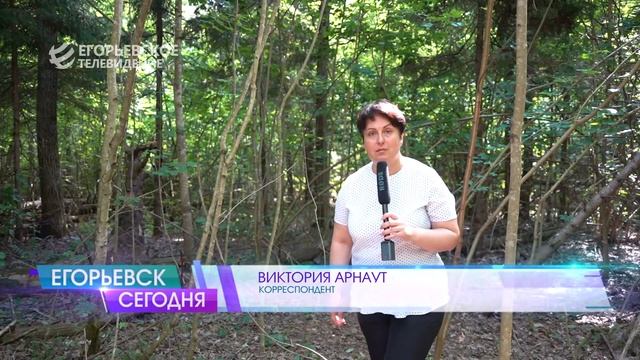 Советы лесничих – любителям тихой охоты. Как найти выход из леса, если заблудился? смотреть онлайн