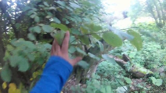 Места где водиться форель...Расскажу всю правду... смотреть онлайн