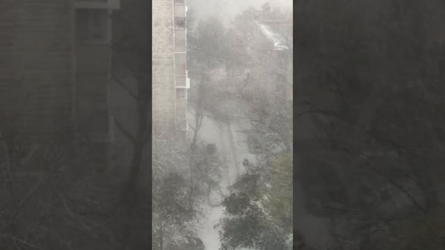 Первый снег ❄️. Кишинёв смотреть онлайн