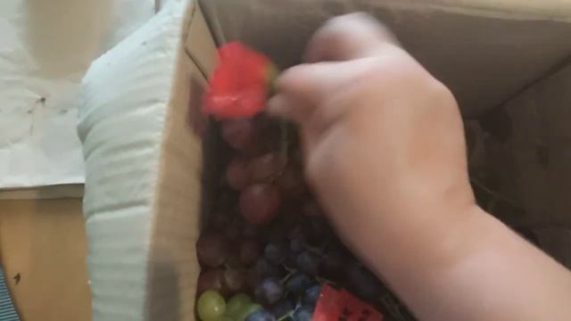 Самый Вкусный Виноград. Посылка Винограда на Дегустацию от Наташи Захаровой смотреть онлайн