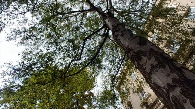 Лион - главная столица Франции. Вокруг Альп. 5 часть. смотреть онлайн
