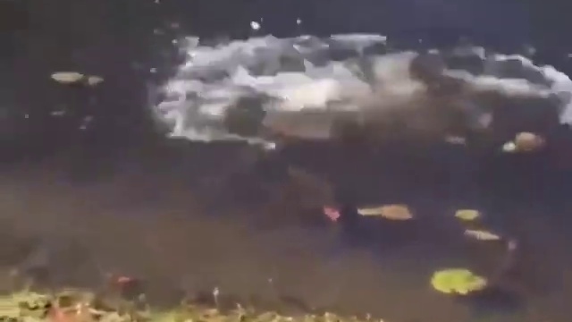 мужик чихнул