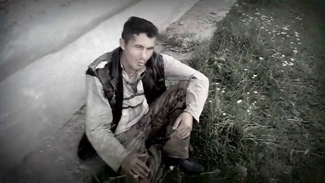 Тёплый Пёс(весёлый петя) смотреть онлайн