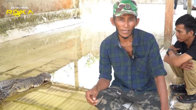 SEDIH,DIPISAHKAN JARAK BUAYA RISKA DI EVAKUASI BKSDA,TANGIS AMBO TAK TERBENDUNG ❗❗ смотреть онлайн