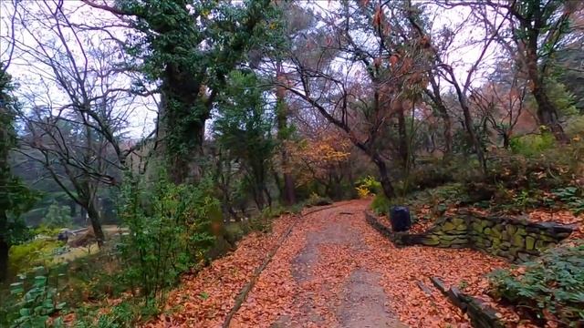 ПРОГУЛКА В МАССАНДРОВСКИЙ ПАРК УЛИЦА ДРОЖИНСКОГО ЯЛТА КРЫМ смотреть онлайн