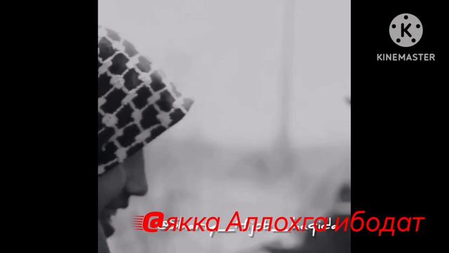 нашид и #нашид #ислам смотреть онлайн