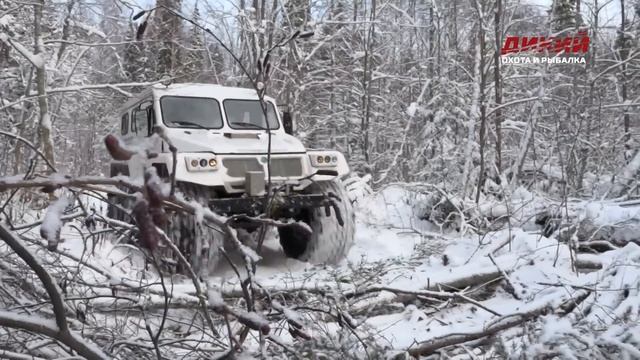 Волчий оклад. Охота на Русском Севере. смотреть онлайн