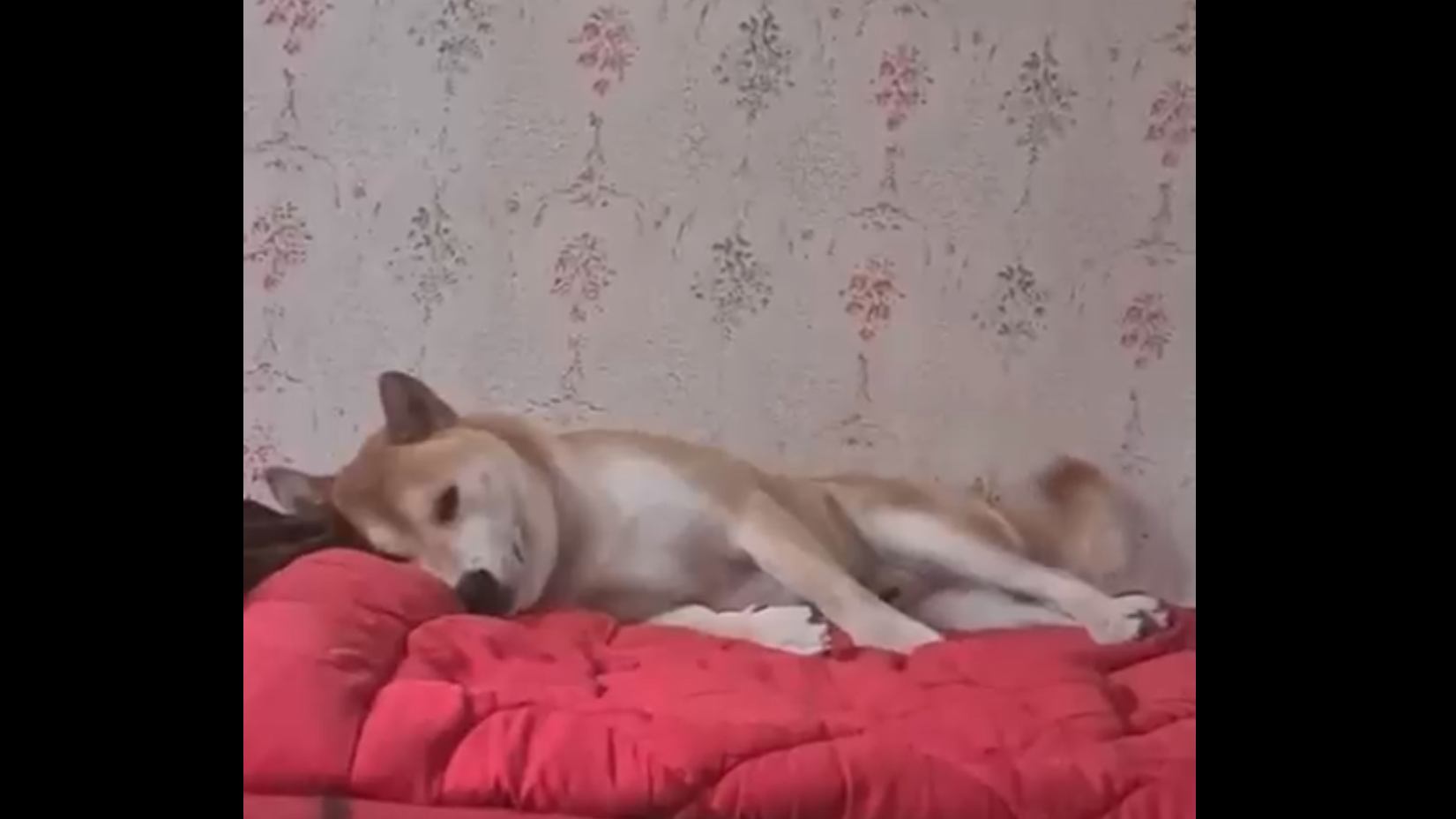 Ещё пять минут смотреть онлайн