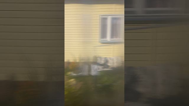 w смотреть онлайн
