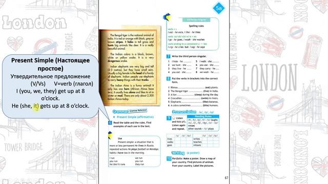 Spotlight 5. Модуль 5a. Amazing creatures смотреть онлайн