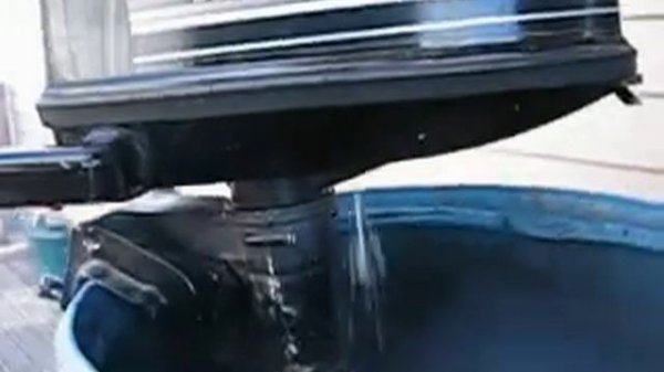 Mercury 4/5 hp on TradeMe