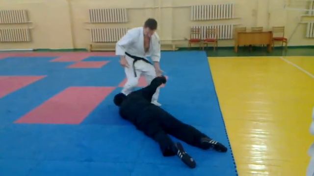 2011. Хапкидо, выкручивание запястья. Сонмок питулги. Пшеничников, Сапрыкин. смотреть онлайн