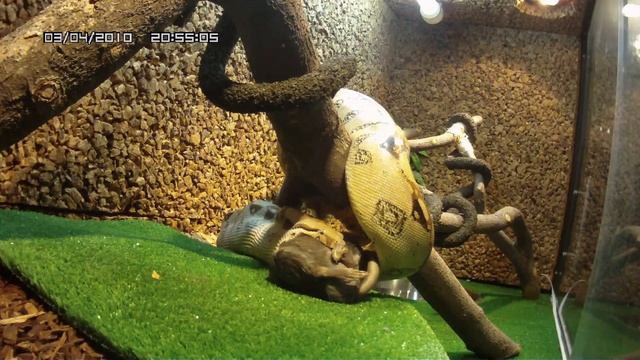 Обед ... продолжение смотреть онлайн