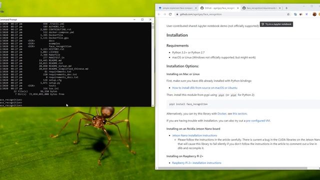 simple implement face compare or recognition смотреть онлайн