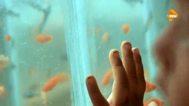 САМЫЕ ШОКИРУЮЩИЕ ГИПОТЕЗЫ 2018 ЧТО НАС ЖДЕТ ПОСЛЕ СМЕРТИ смотреть онлайн