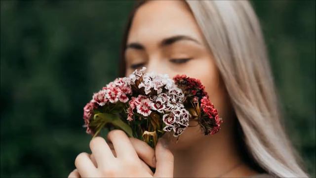 Dianthus All About | Dianthus Plant смотреть онлайн