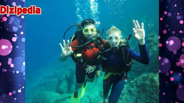 Burcu Biricik Kim ?      ➤  Ünlü Sanatçının Biyografisi