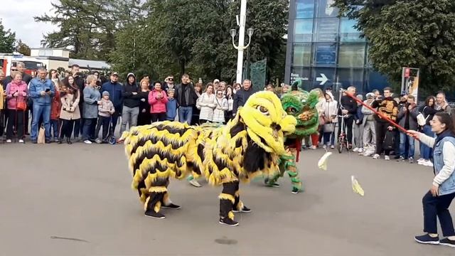 Танец дракона и льва 中国节在莫斯科龙狮舞 China festival in Moscow dragon and lion dance
15.09.2019 смотреть онлайн