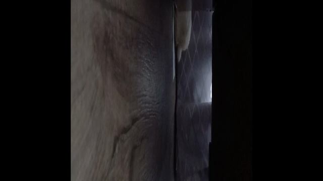 прогулка смотреть онлайн