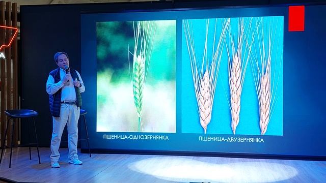 Яков МАРШАК: Актуальные проблемы и вегетарианства и пути их решения. Мозг и растительная еда. смотреть онлайн