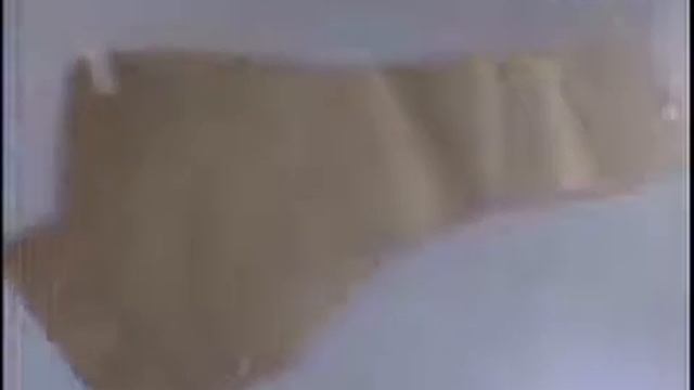RP Digitizer смотреть онлайн