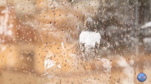 #ЗависаяВлете#Видеоklass#ЖаннаДаценко#КрасотаПрироды#МузыкаКрасоты#