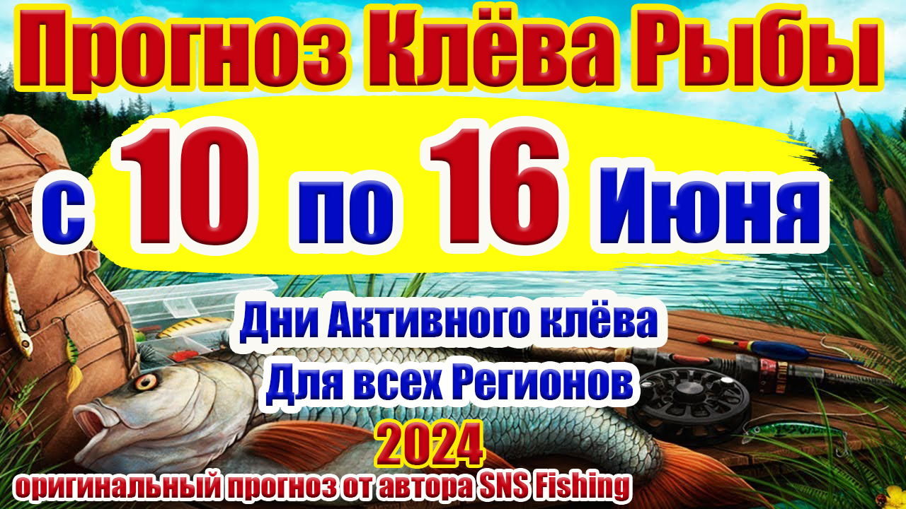 Прогноз клева рыбы на неделю с 10 по 16 Июня Прогноз клева рыбы Лунный Календарь рыбака смотреть онлайн