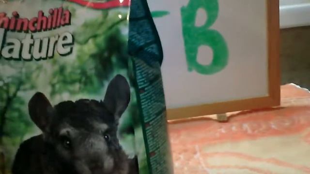 ЧТО ДОЛЖНО БЫТЬ В КЛЕТКЕ ШИНШИЛЛЫ смотреть онлайн
