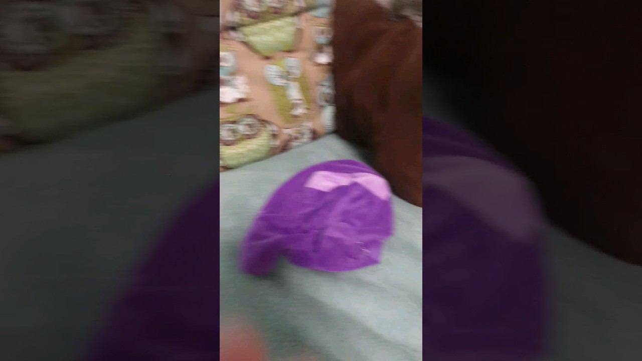 Незванные гости(это видео не могут комментировать только люди с галачкой)#хренобус