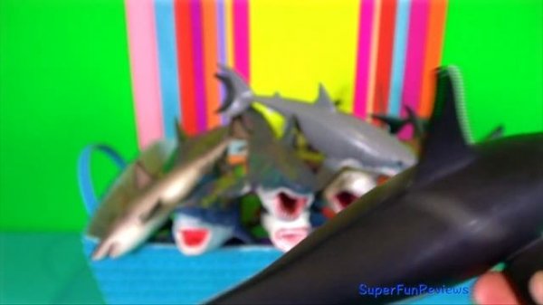 Sea Animals - Shark, Blue Whale, Megalodon, Orca, Fish - What is your favorite Sea Animal? 13+