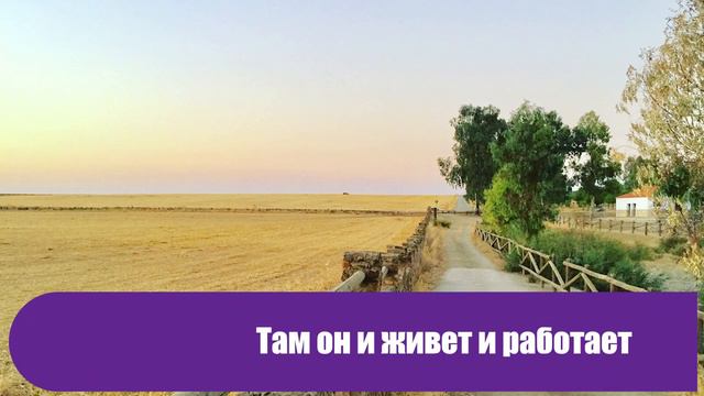 Нашла брата через 14 лет, а он оказался подонком… смотреть онлайн