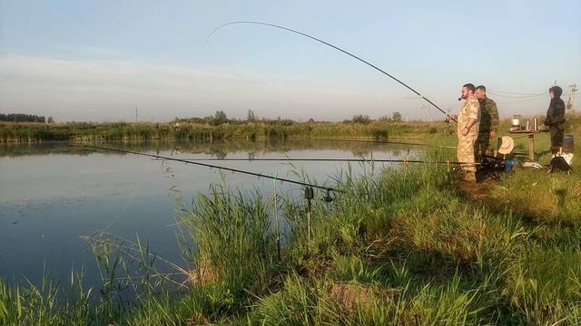Реальная рыбалка | Японский карп Кои смотреть онлайн