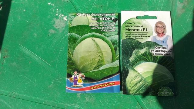 Семена капусты мегатон F1. смотреть онлайн