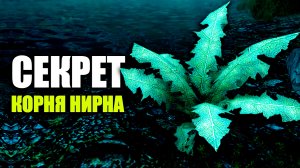 Skyrim - Что скрывает КОРЕНЬ НИРНА?