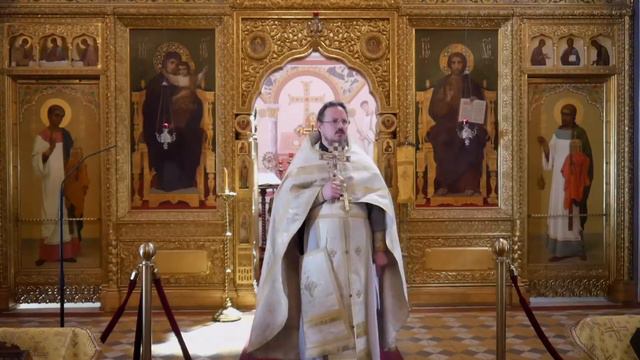 02.07.2022 Проповедь о. Радослава на Литургии. Ап. Иуды, бр. Господня. Свт. Иова, патр. Московского смотреть онлайн